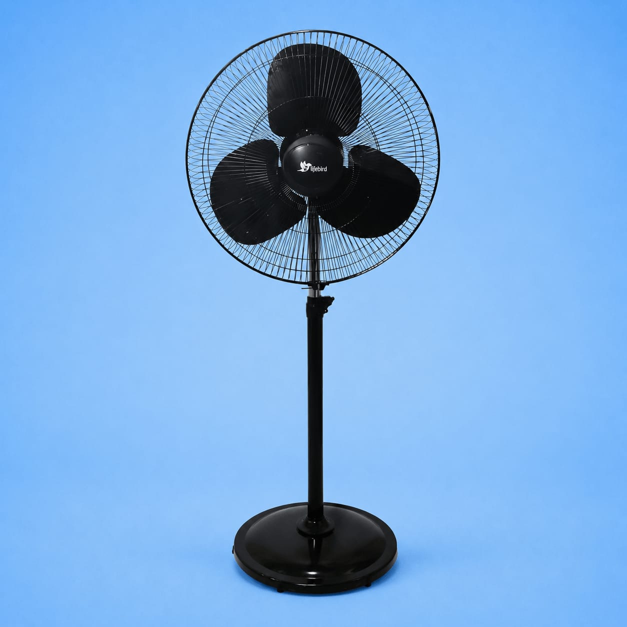 Pedestal Fan