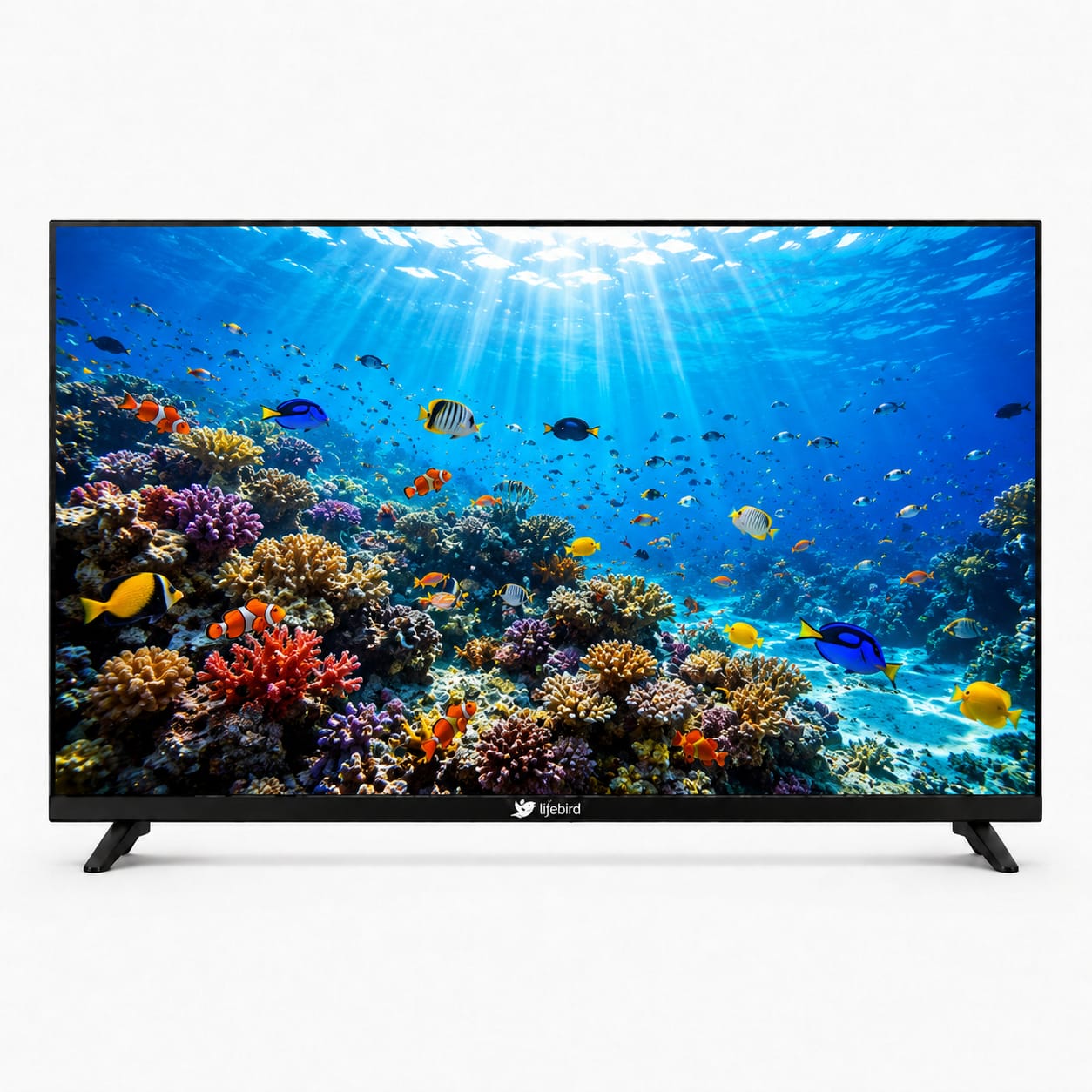 Lifebird 65 inch Ultra HD LED Smart Web OS TV Bezel-less design