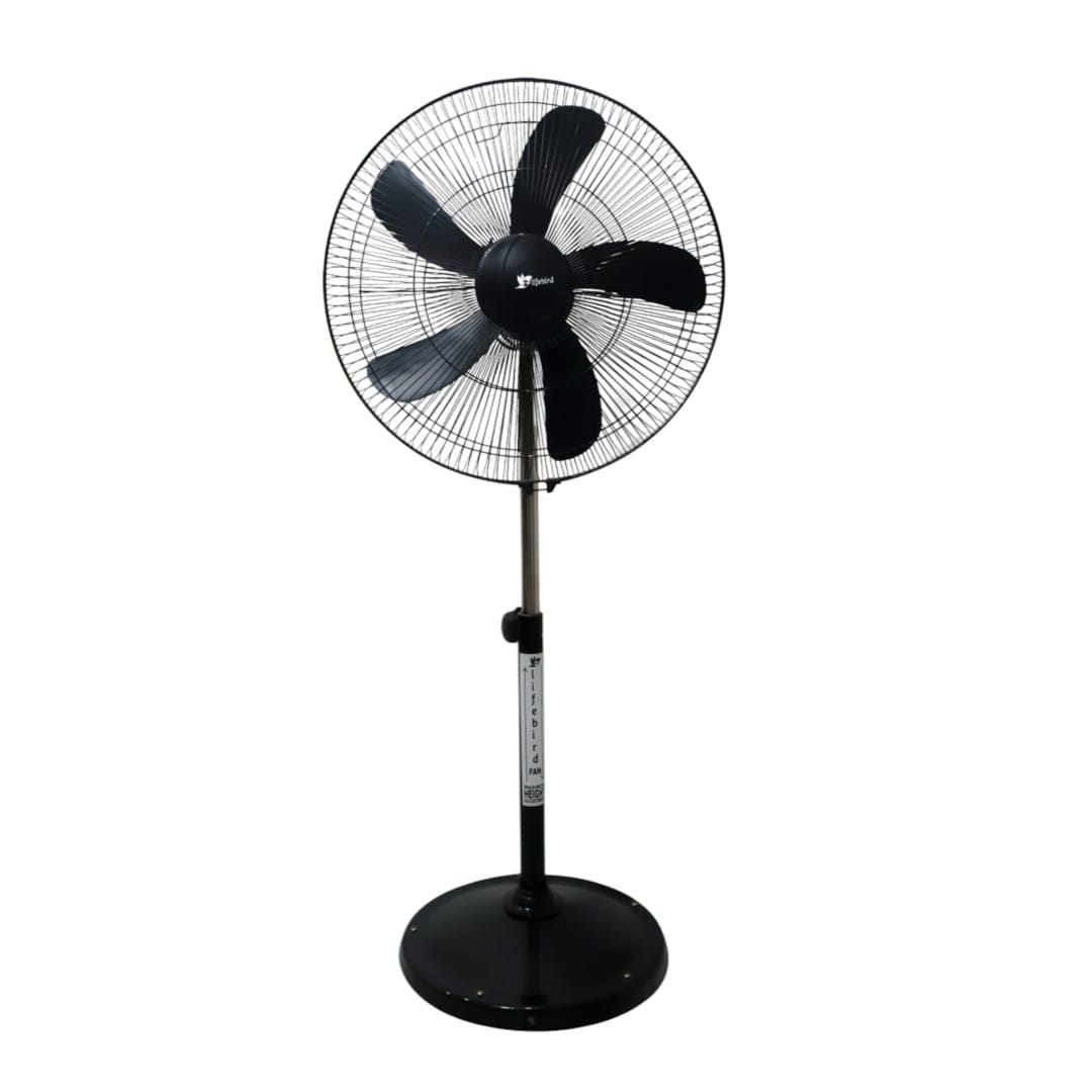 Thunder Pedestal Fan